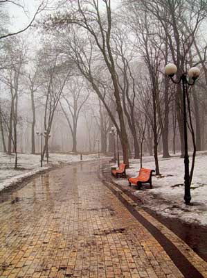 Мариинский парк зимой